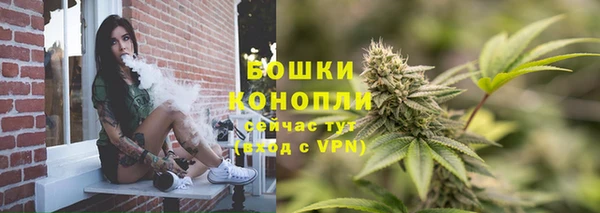 PSILOCYBIN Аркадак