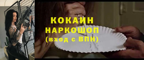 PSILOCYBIN Аркадак