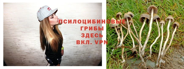 альфа пвп Арсеньев