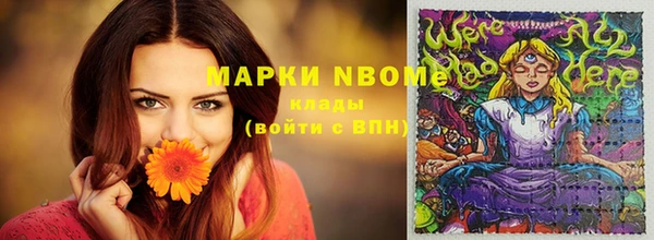 PSILOCYBIN Аркадак