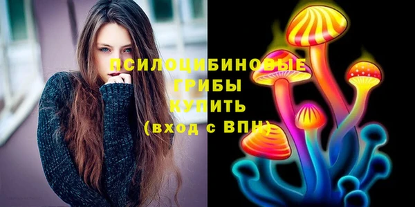 PSILOCYBIN Аркадак
